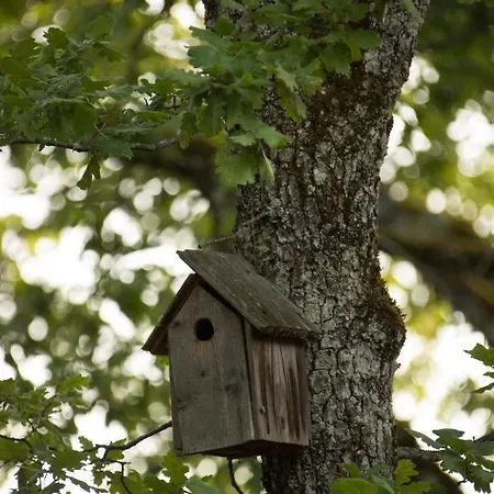 Kompleks wypoczynkowy Le Bois De Faral Le Bastit