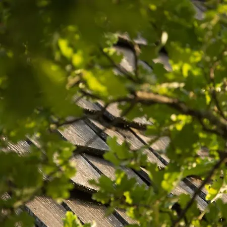 Kompleks wypoczynkowy Le Bois De Faral