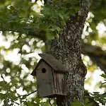Vakantiepark Le Bois De Faral Le Bastit