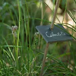 Le Bois De Faral
