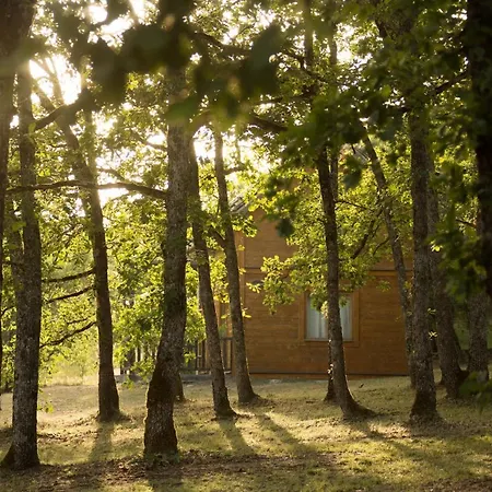 Le Bois De Faral Le Bastit