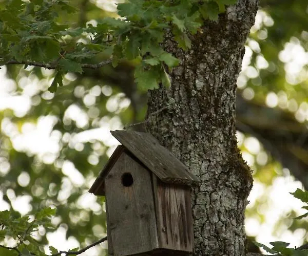 Feriepark Le Bois De Faral Le Bastit