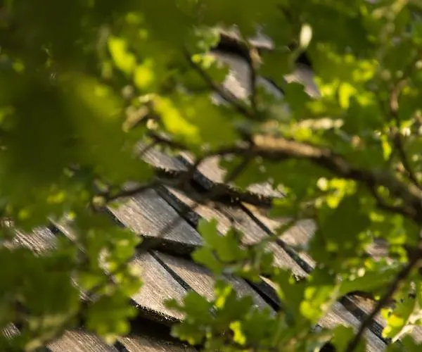 Feriepark Le Bois De Faral